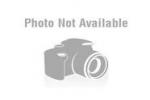 Watch-movies-links.net logo